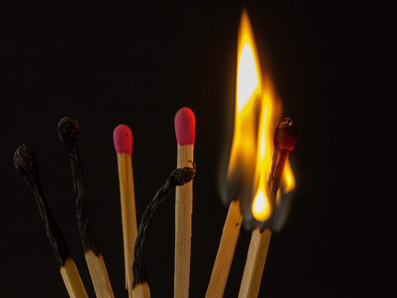 Burn-out au travail : quels droits et quels recours pour le salarié ?